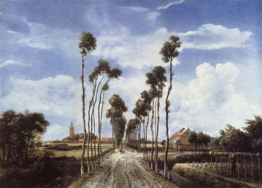 The Avenue at Middelharnis